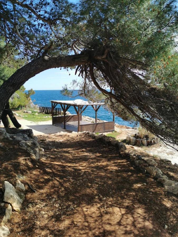 Black Pearl - Luxury Seaside App With Pool & Bbq, Istra Банджоле Экстерьер фото