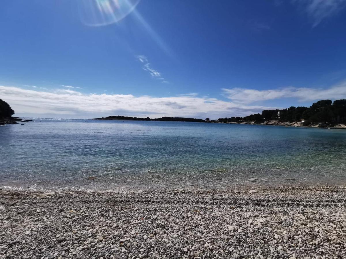 Black Pearl - Luxury Seaside App With Pool & Bbq, Istra Банджоле Экстерьер фото